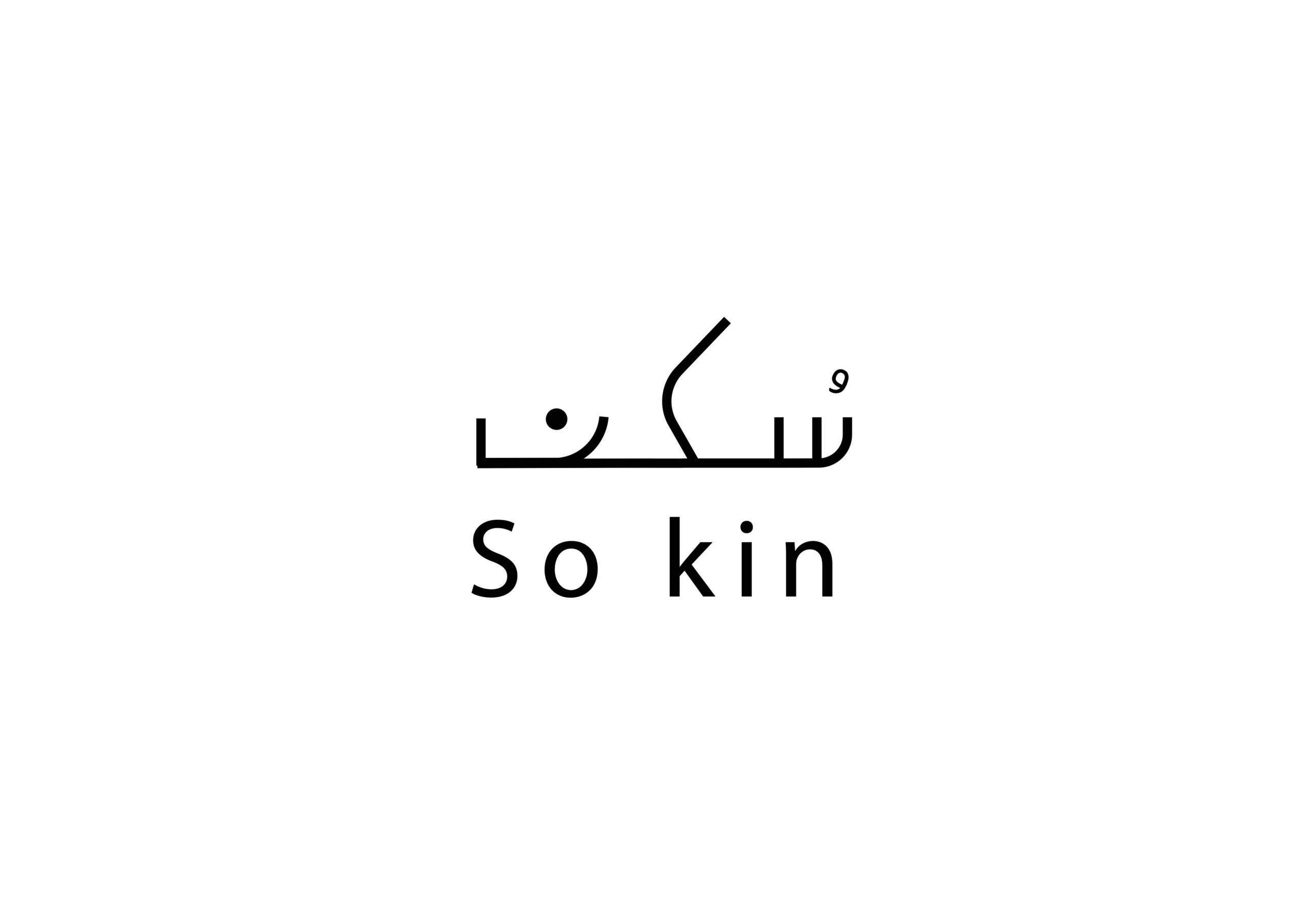 Sokin Logo
